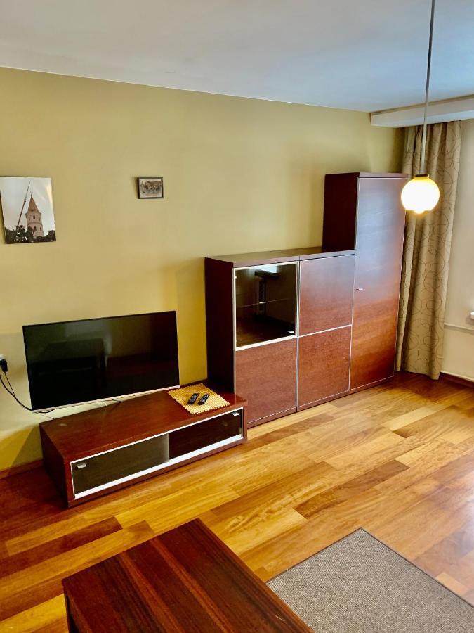 Comfortable Stay In Siauliai Buitenkant foto
